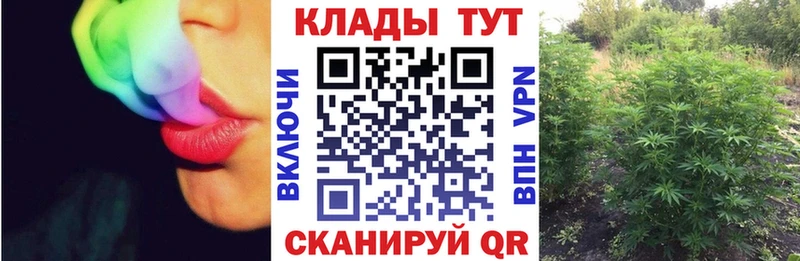 Где купить Дорогобуж МАРИХУАНА  Мефедрон  Гашиш 