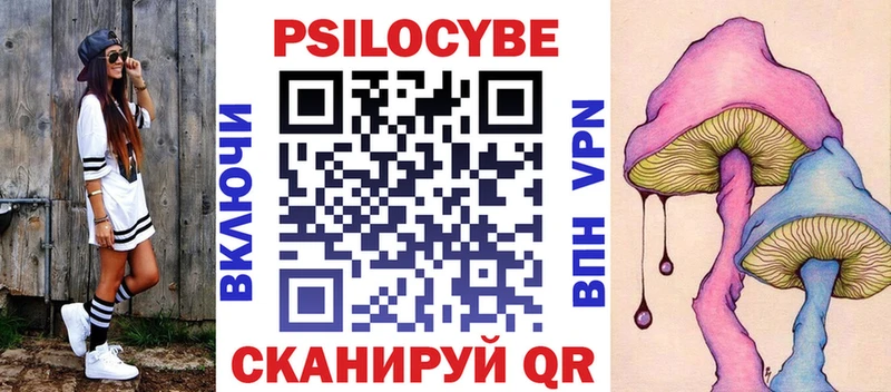 мега как зайти  Дорогобуж  Галлюциногенные грибы MAGIC MUSHROOMS 
